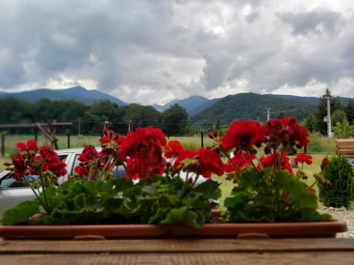 Pensiunea Maya Sîmbăta de Sus Exterior foto