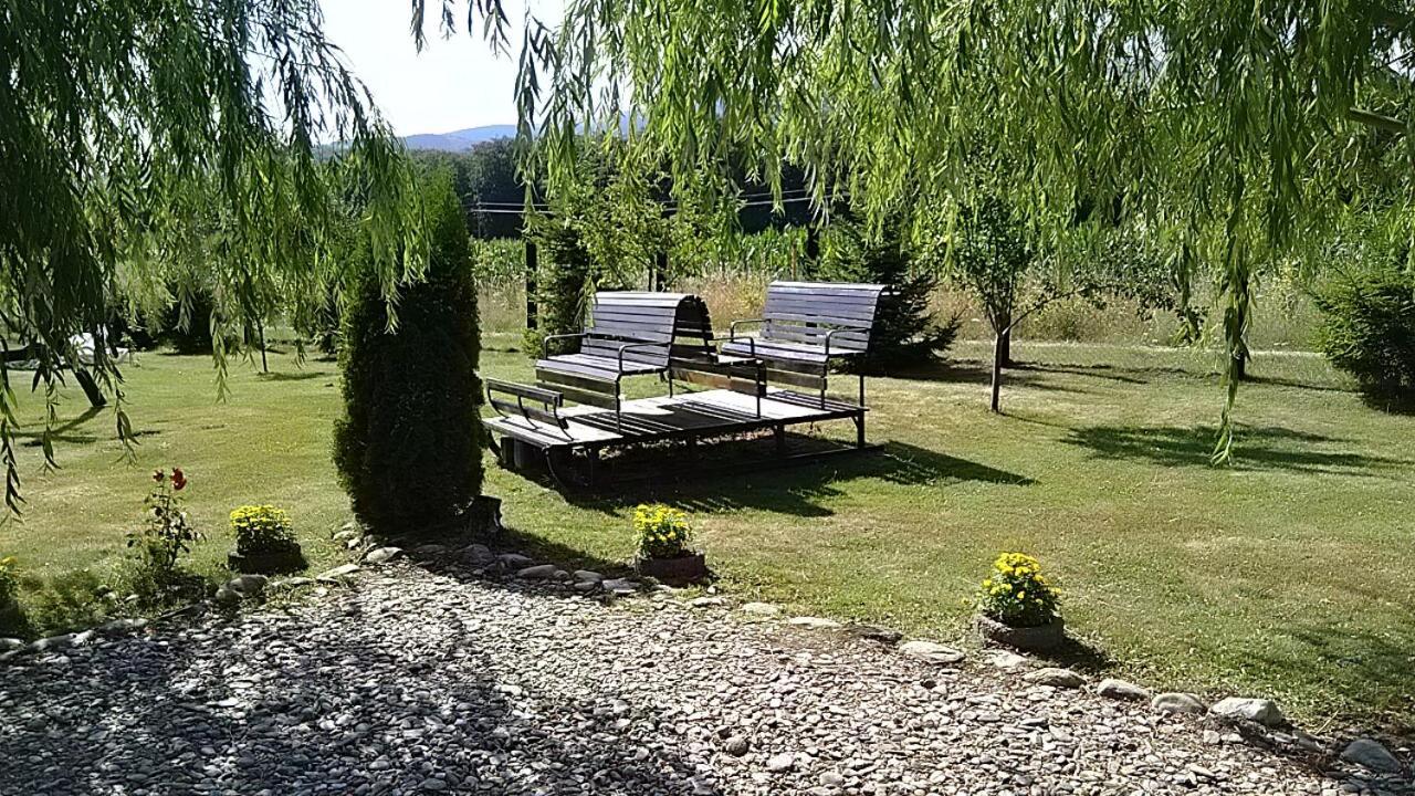 Pensiunea Maya Sîmbăta de Sus Exterior foto