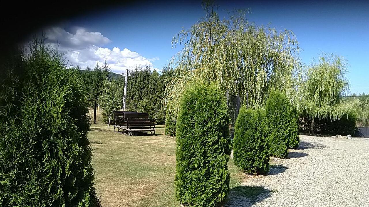 Pensiunea Maya Sîmbăta de Sus Exterior foto