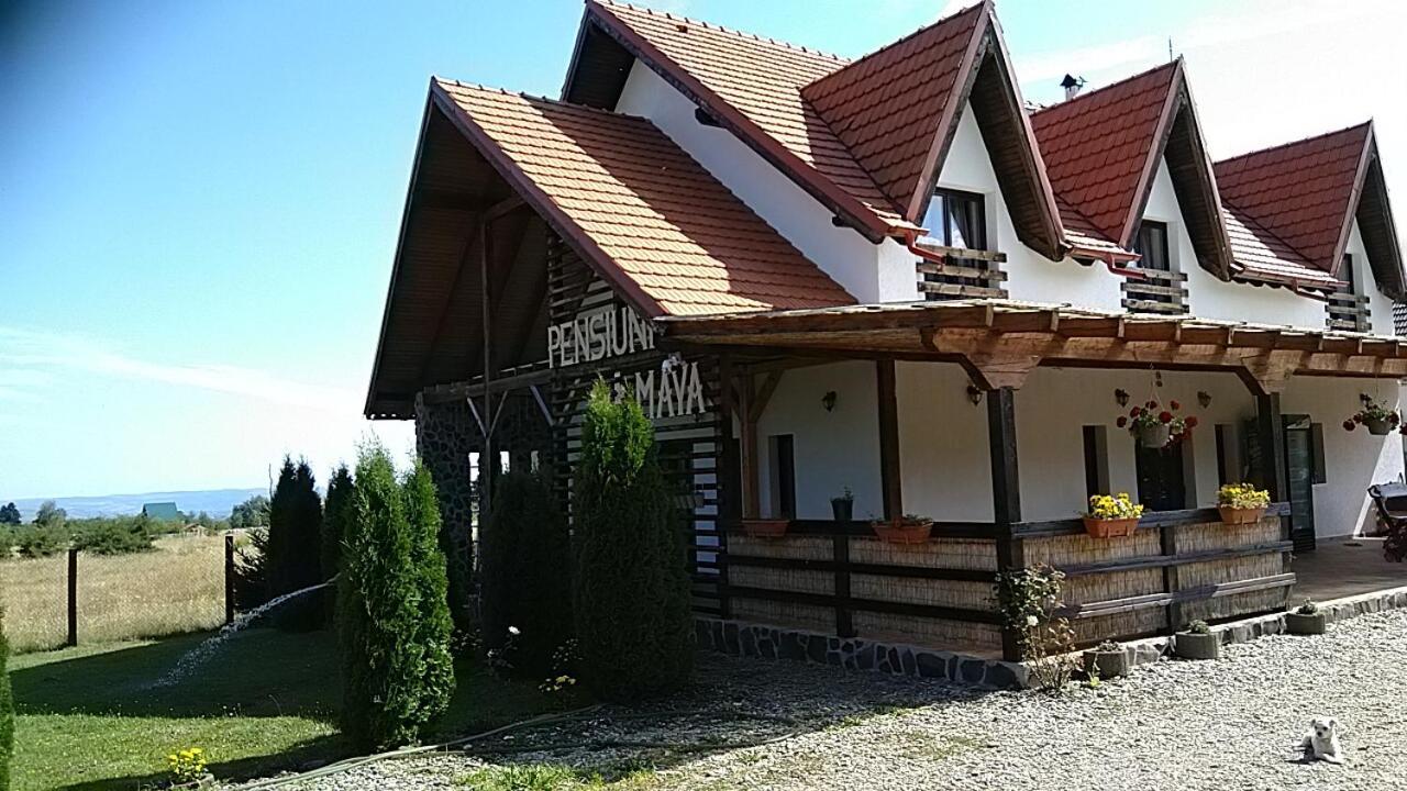 Pensiunea Maya Sîmbăta de Sus Exterior foto
