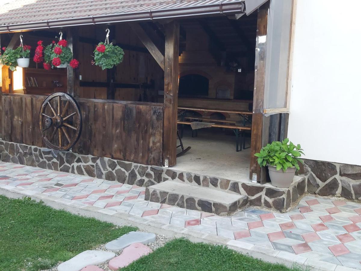 Pensiunea Maya Sîmbăta de Sus Exterior foto