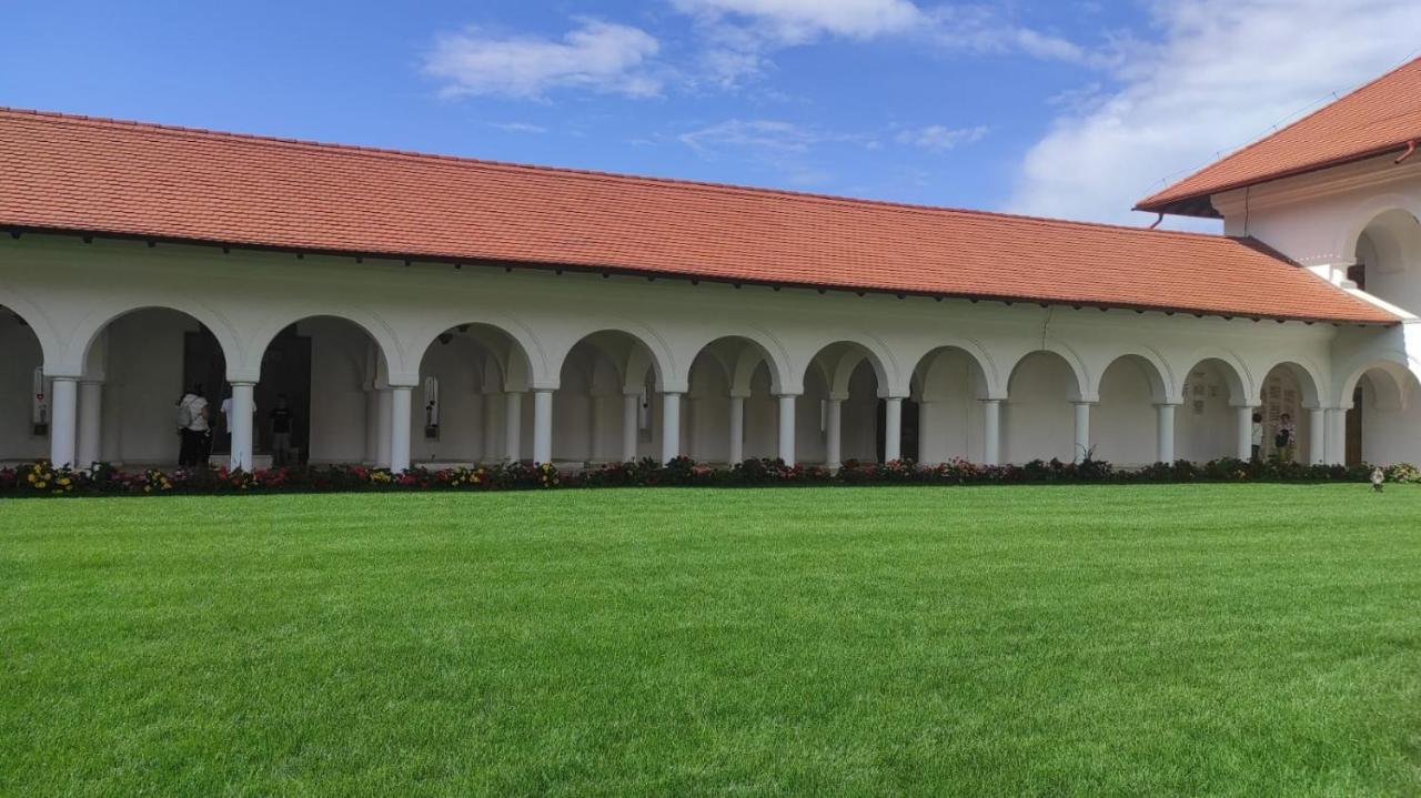 Pensiunea Maya Sîmbăta de Sus Exterior foto