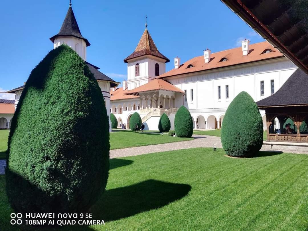 Pensiunea Maya Sîmbăta de Sus Exterior foto