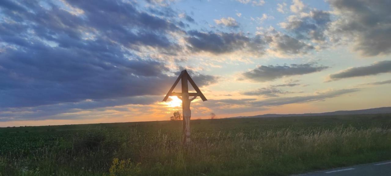 Pensiunea Maya Sîmbăta de Sus Exterior foto