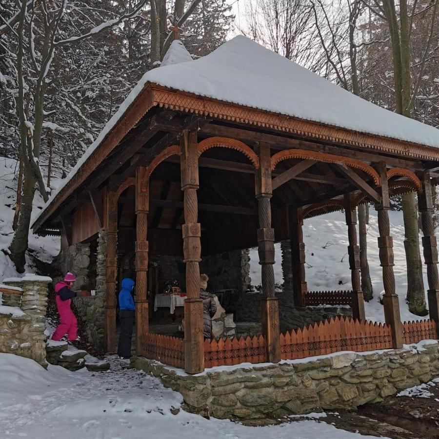 Pensiunea Maya Sîmbăta de Sus Exterior foto