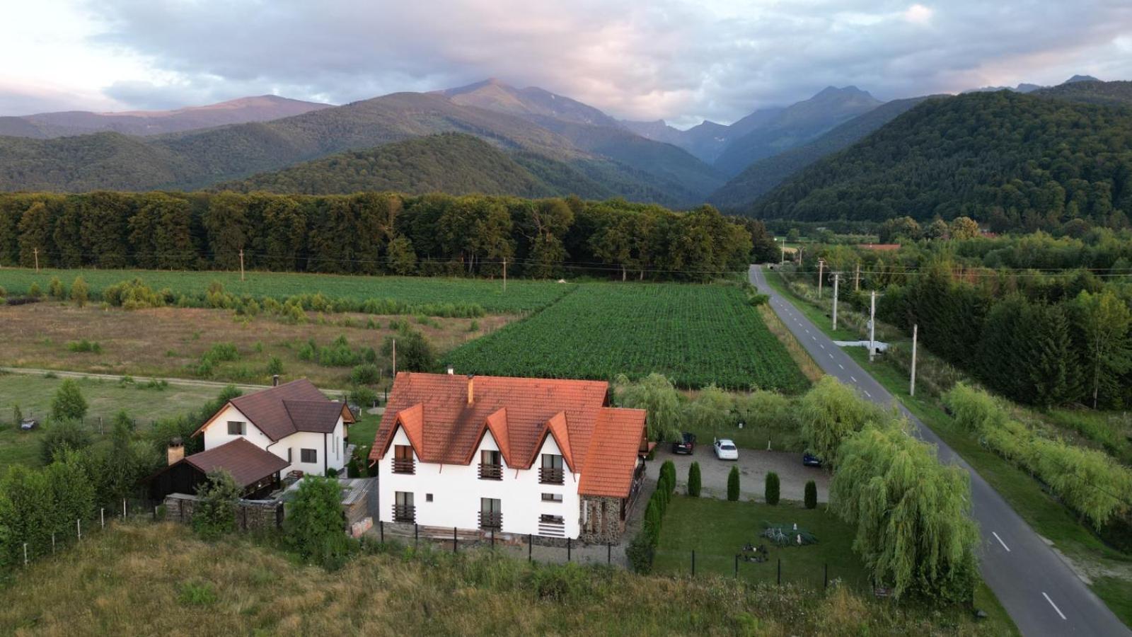 Pensiunea Maya Sîmbăta de Sus Exterior foto