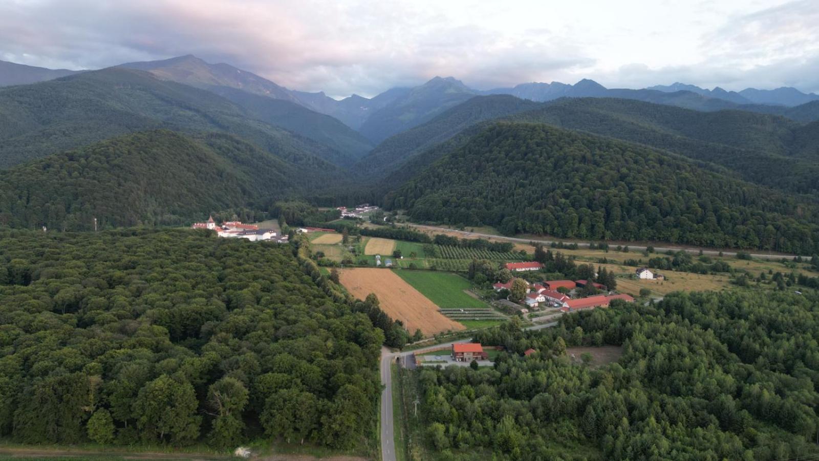 Pensiunea Maya Sîmbăta de Sus Exterior foto