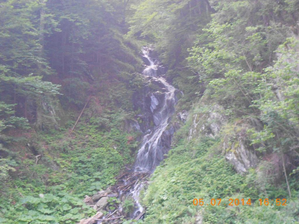 Pensiunea Maya Sîmbăta de Sus Exterior foto