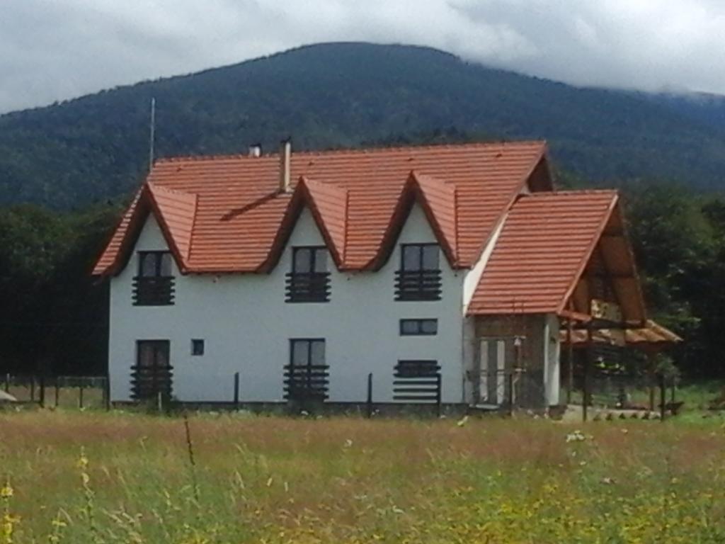 Pensiunea Maya Sîmbăta de Sus Exterior foto