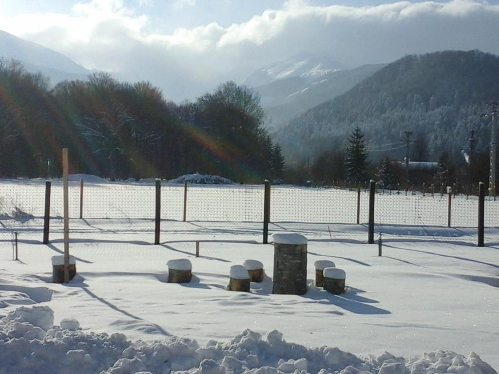 Pensiunea Maya Sîmbăta de Sus Exterior foto