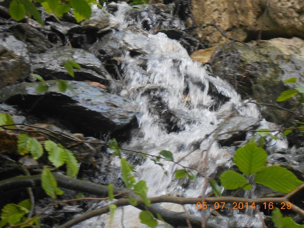 Pensiunea Maya Sîmbăta de Sus Exterior foto